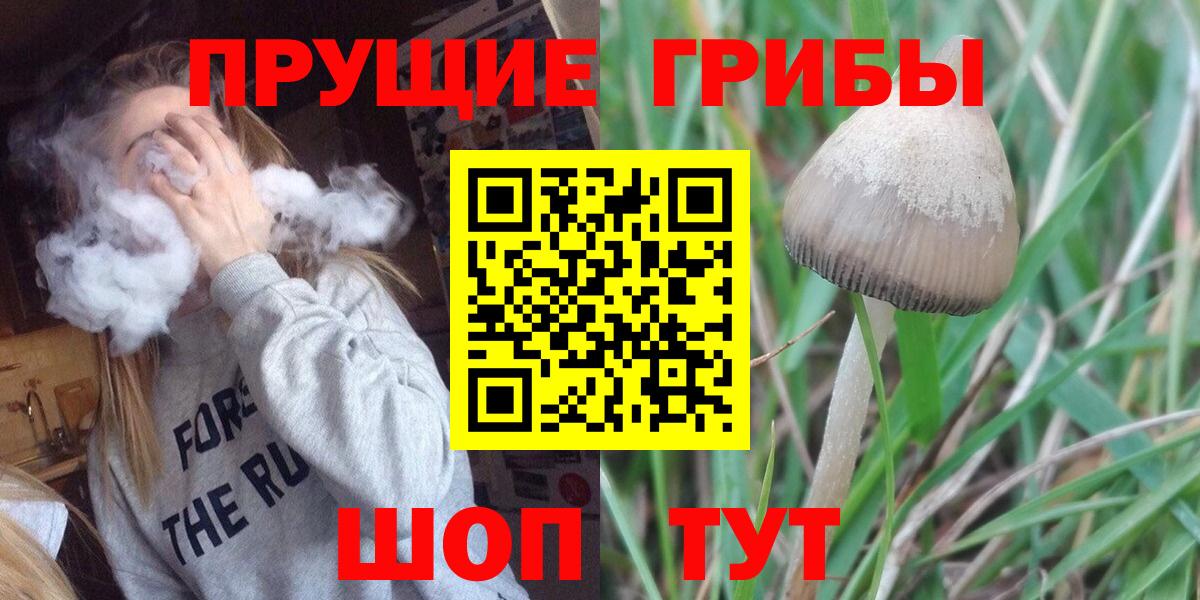 магазин продажи наркотиков  Псилоцибиновые грибы MAGIC MUSHROOMS  Истра  Вход с VPN  Псилоцибиновые грибы Psilocybine cubensis 
