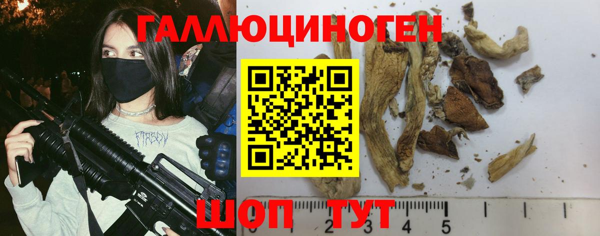 Псилоцибиновые грибы Magic Shrooms Истра